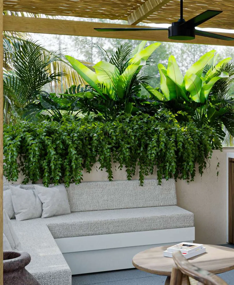 The rooftop terrace: a deep linen sofa under the pergola, ferns spilling over the planter, palms beyond.